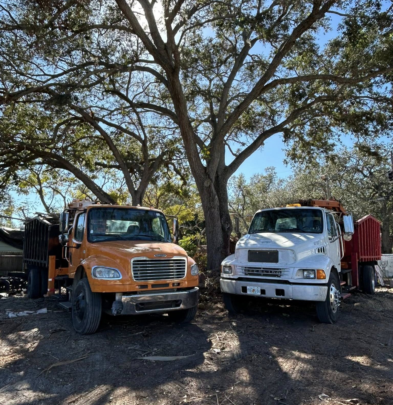 Crane Service