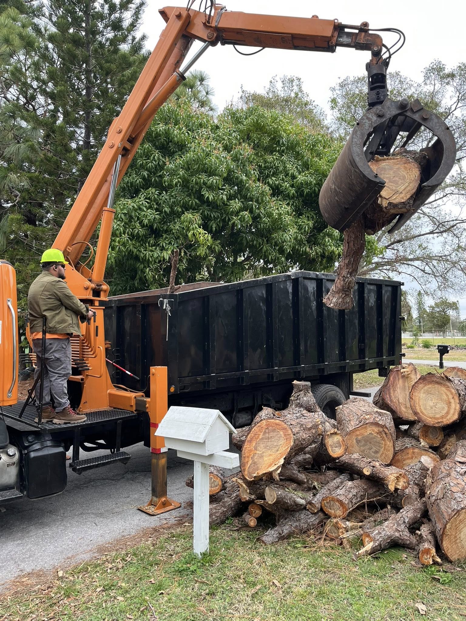 tree removal