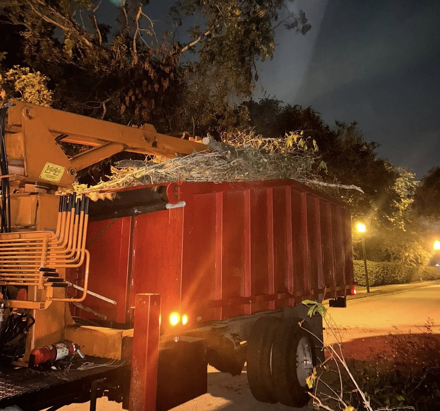 lot clearing st. petersburg