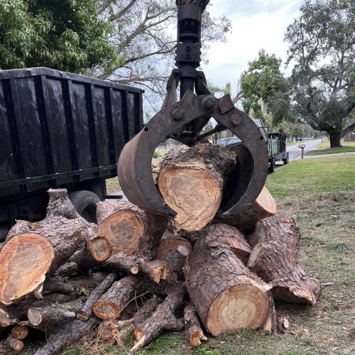 Debris removal
