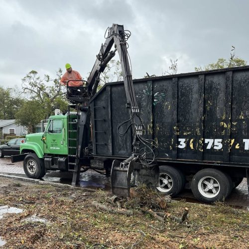 lot clearing st. petersburg