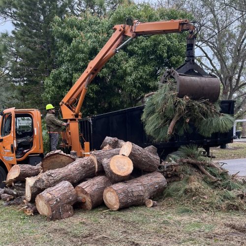 lot clearing st. petersburg