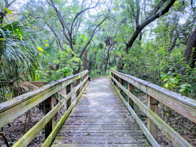 Boyd Hill Nature Preserve